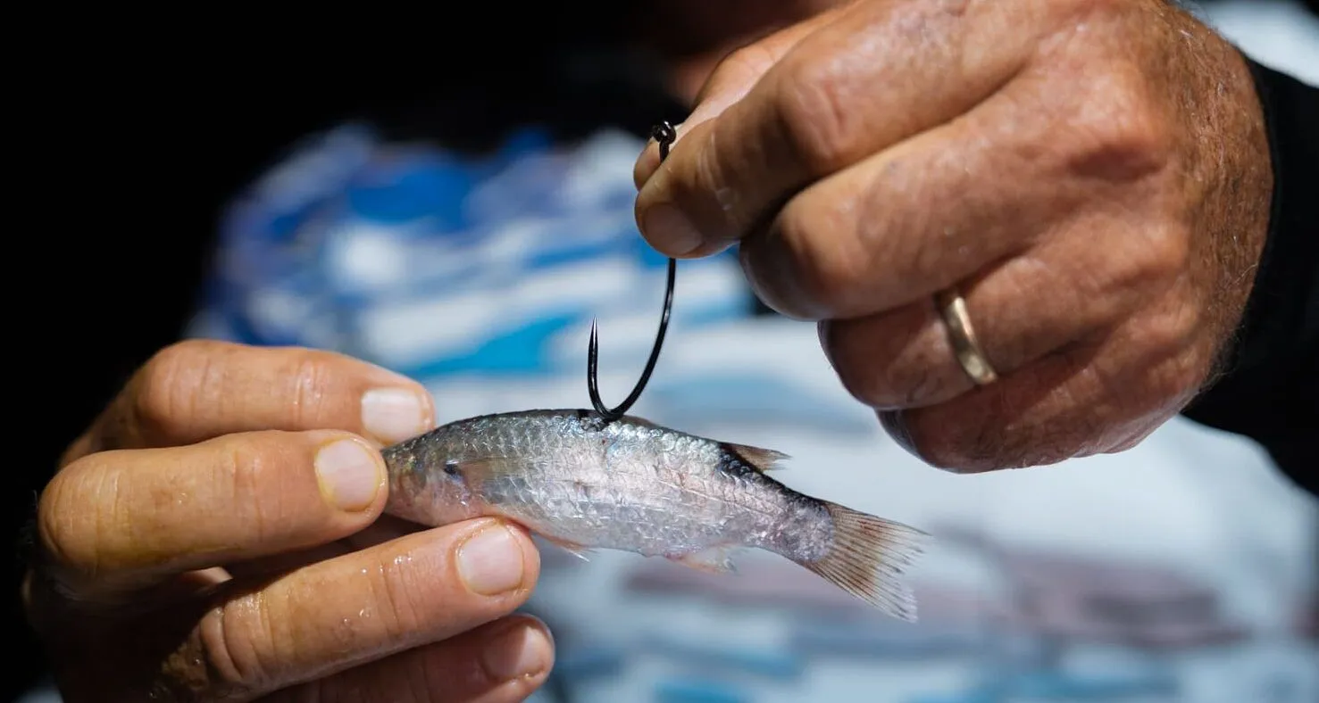crappie fishing rod and reel combos Meal Ticket so get ready for Offshore Angler Aluminum Sand Size:3.0 - 6.2:1 XPLORE 9