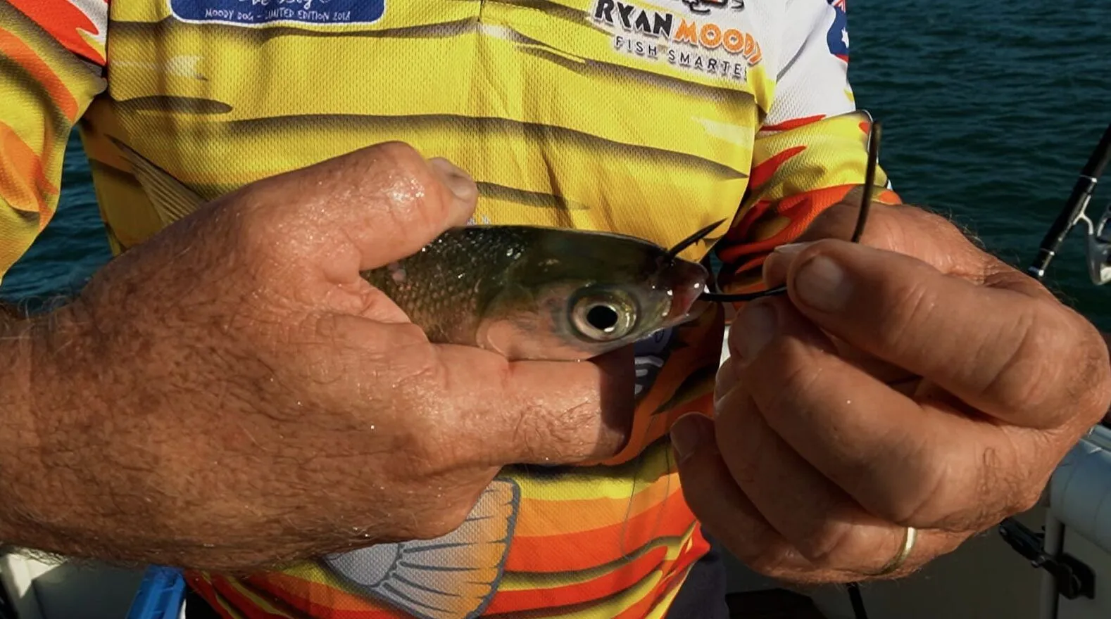 custom fishing gaff hooks American Tackle 316SS with Chisel Point 5
