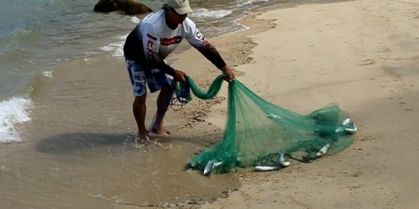 Cast nets for catching bait