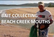 Collecting bait at beach creek mouths
