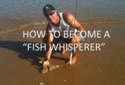 How to become a fish whisperer.