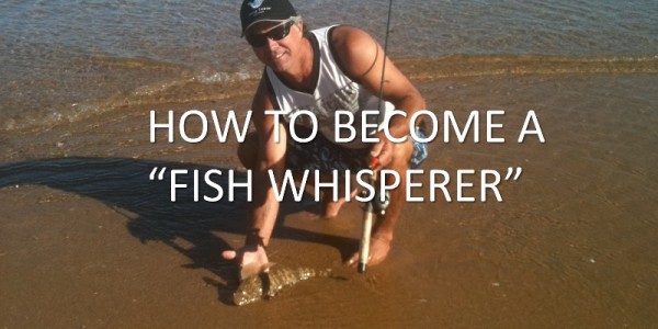 How to become a fish whisperer.