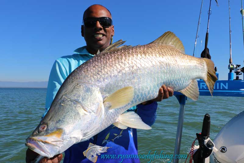 Big fish video deals