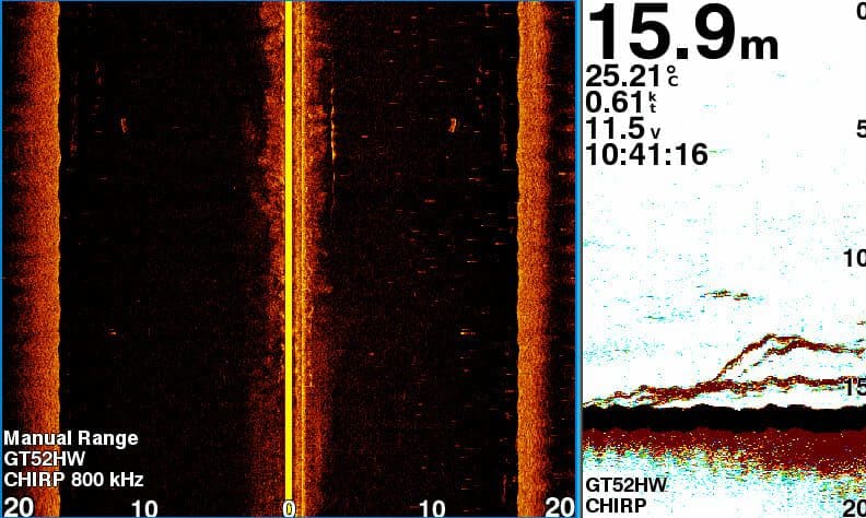 Fingermark in foraging mode offshore