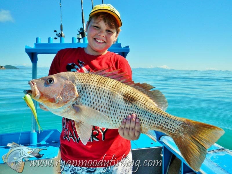 Good sized fingermark caught jigging soft plastics