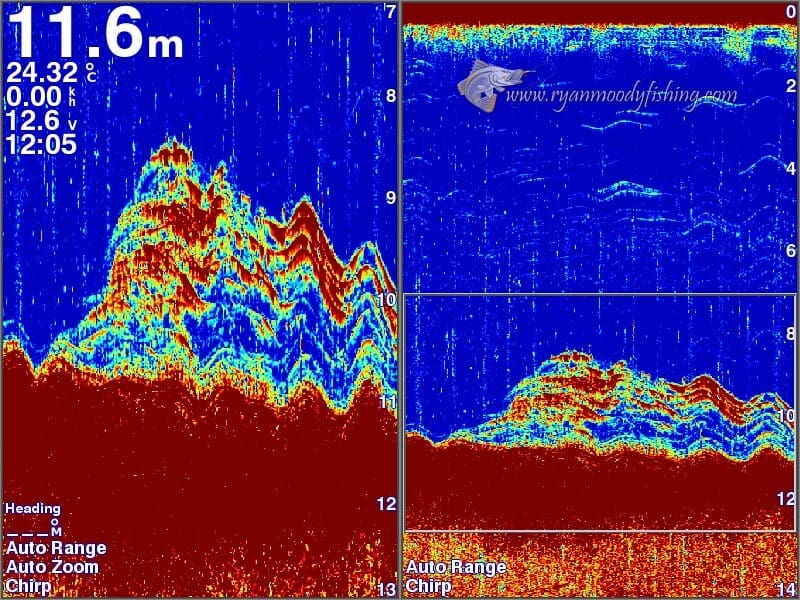 Fishing for Fingermark Golden Snapper holding on a rubble bottom sounder image