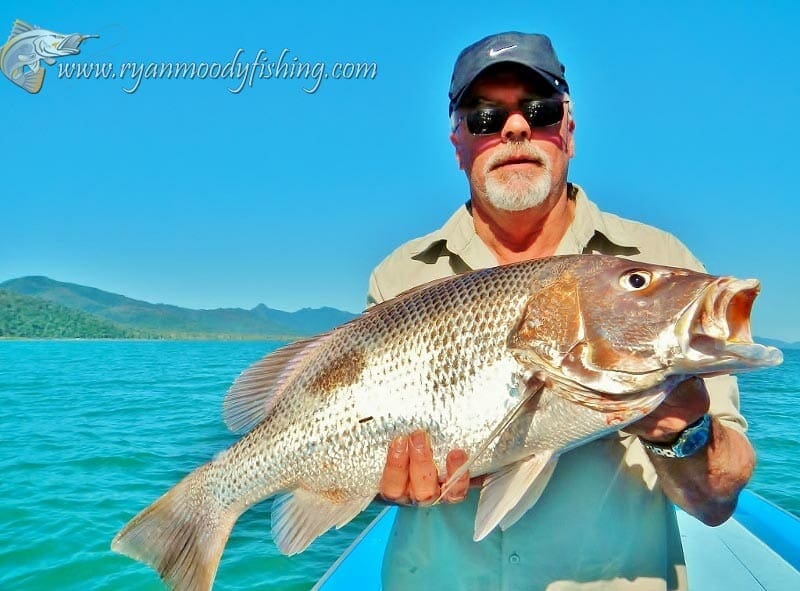 Good sized Hinchinbrook channel Fingermark