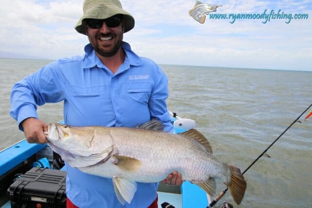 shaun 97cm hinchinbrook barramundi