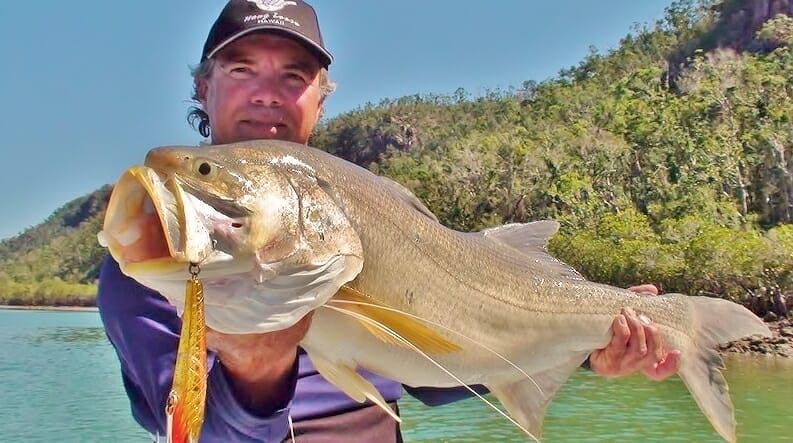 How to catch king threadfin salmon in Australia