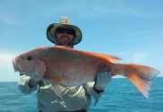 Catching reef fish using Fin_Nor Lethal off Queensland coast