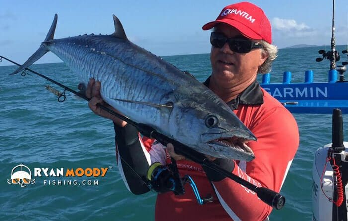 Catching mackerel using metal slices and a speed freak fishing reel from Quantum