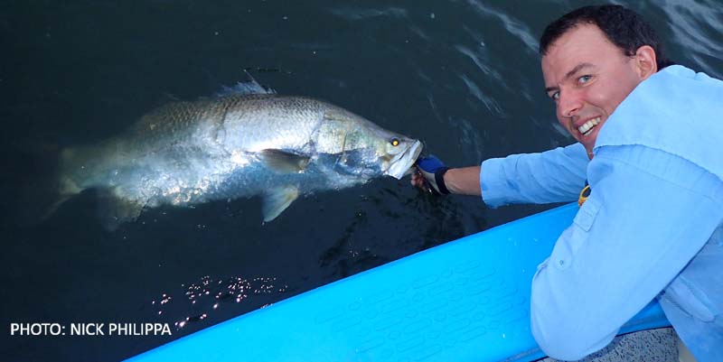 How to release big barra to fight another day.