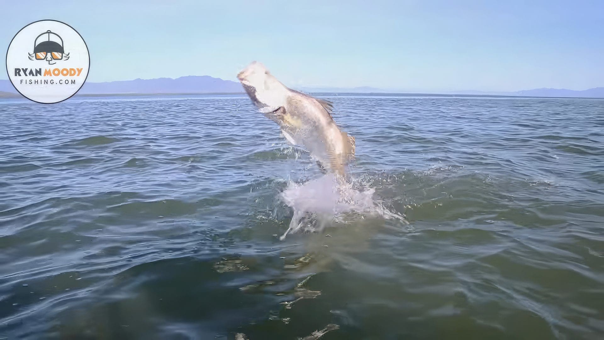 Ryan Moody Catching Big Barramundi #13-upscaled