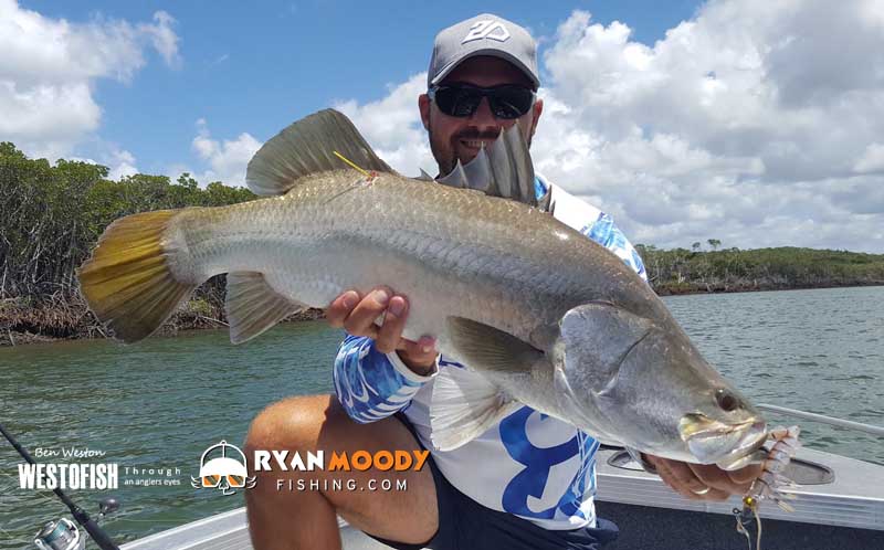 Westo with nice tagged barramundi