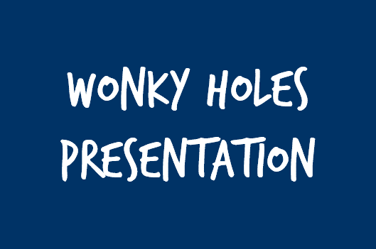 wonky holes training