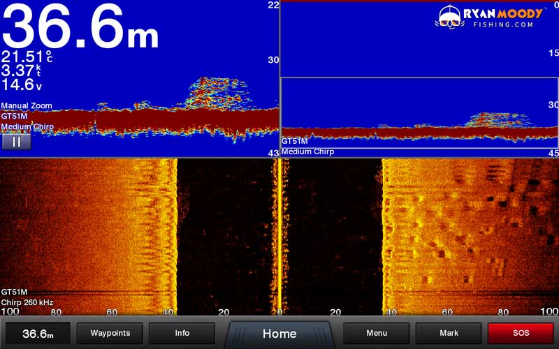 Fish finder screenshot of a large cluster of Wonky Holes off the Central Queensland Coast.