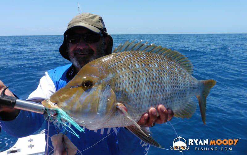 Catching Sweetlip on Wonky Holes using a Garmin fish finder