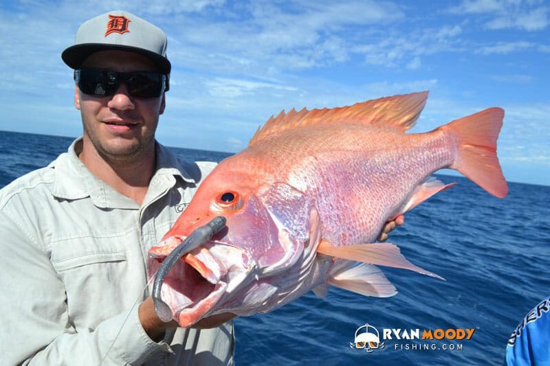 Catching Nannygai Scarlet Sea Perch on Wonky Holes.