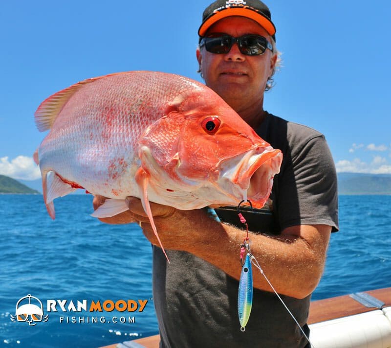 Wonky Holes off Cairns produced this lovely Scarlet Sea Perch or Large mouth Nannygai