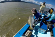 How to set up your boat for barramundi fishing