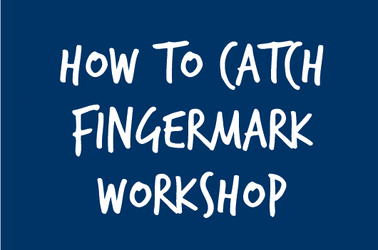 Fingermark Strategies Workshop