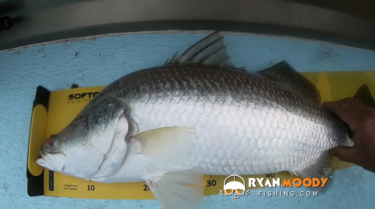 Avoid keeping undersized fish by measuring your fish correctly