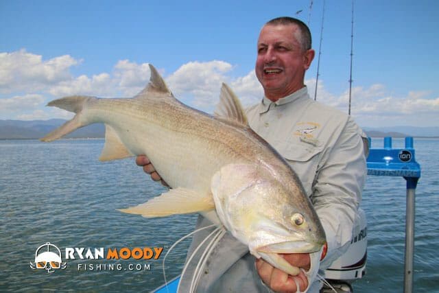 Average size King Threadfin from the deep holes of Hinchinbrook.