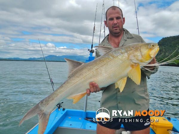 Catching King Threadfin 