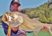 Techniques to catch King Threadfin