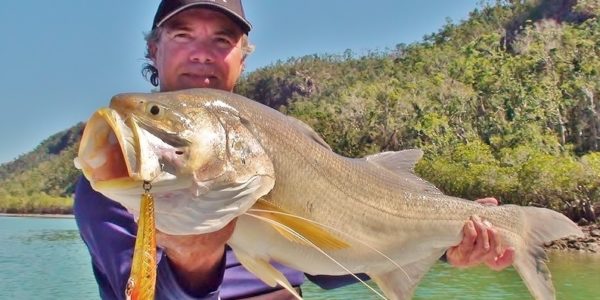 Techniques to catch King Threadfin