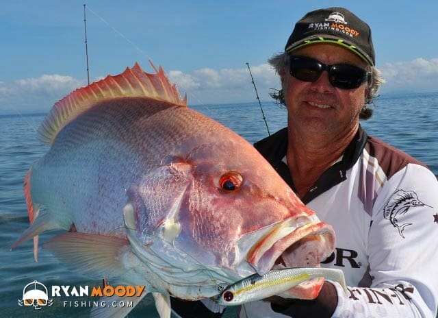 Prize catch - Scarlet Sea Perch on Wonky Holes using Berkely power bait.