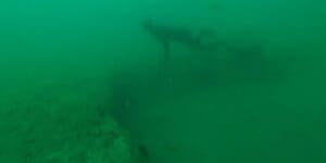wonky holes underwater footage