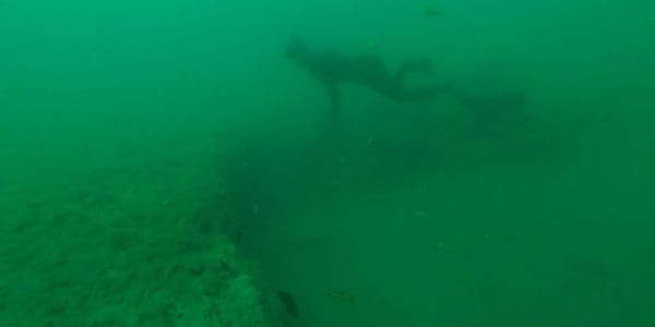wonky holes underwater footage