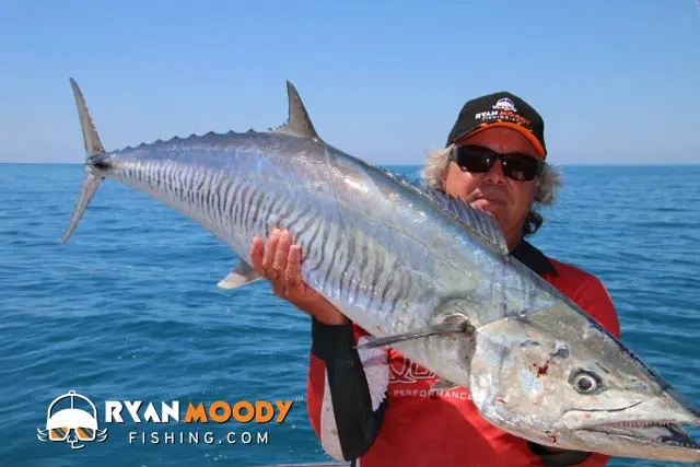 Spanish Mackerel run like freight trains and it pays to be prepared with the right tackle on hand.
