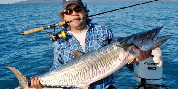 A garfish rig is a great way to catch Spanish Mackerel