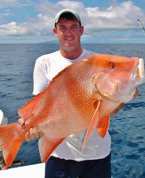 Red Emperor Nannygai | Ryan Moody Fishing