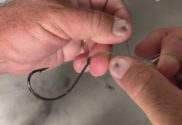 How to tie a running rig for snapper and carp with a blood knot