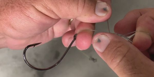 How to tie a running rig for snapper and carp with a blood knot