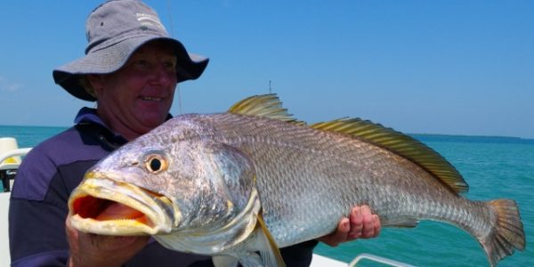 Big black jew are a common catch on fishing charter around Darwin NT