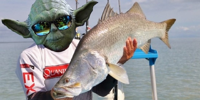 My online fishing course students call me Yoda.