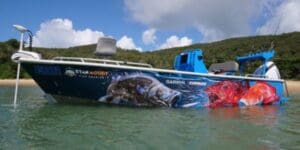 custom boat pros and cons