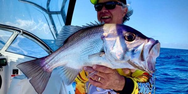 pearl perch for dinner fishing
