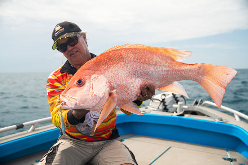 Fishing FNQ often results in Saddletail Snapper