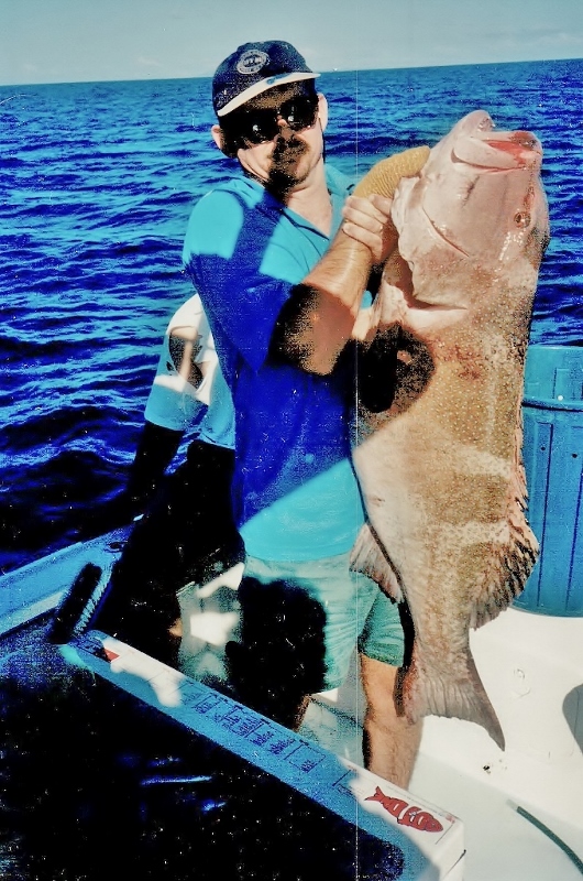 Huge coral trout 