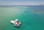 Cruising the great barrier reef