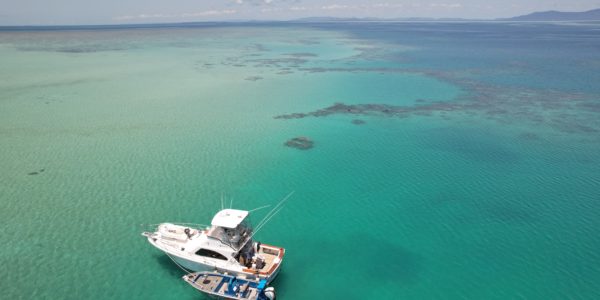 Cruising the great barrier reef