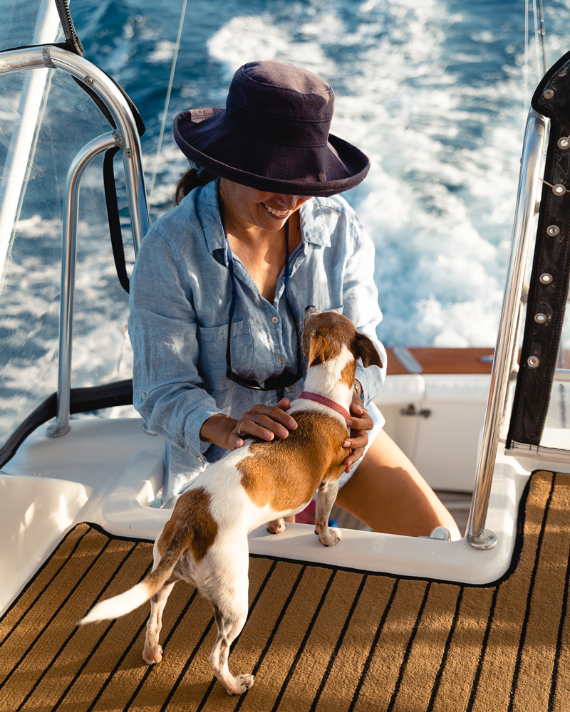 Boat life with dogs