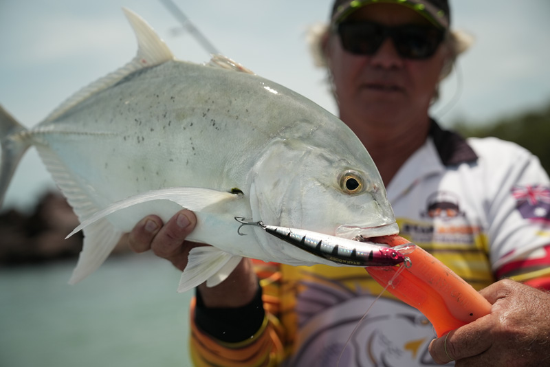 GT caught on a Scaleblazer fishing lure