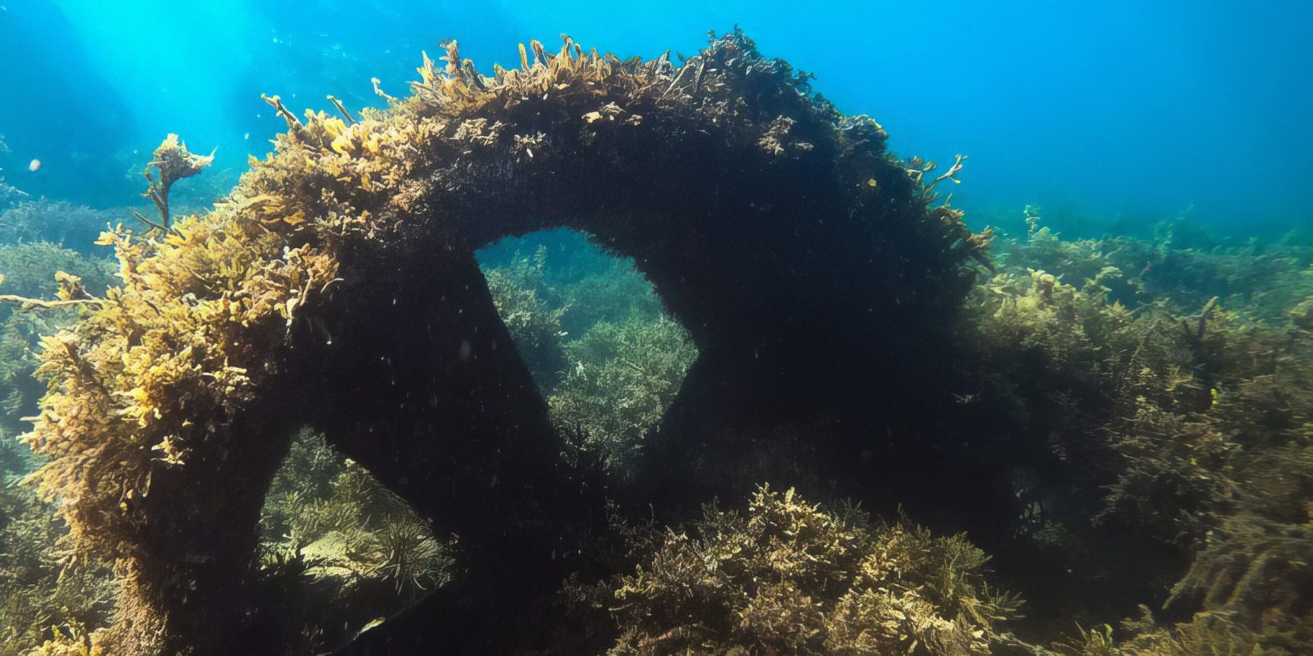 nearshore-cooktown