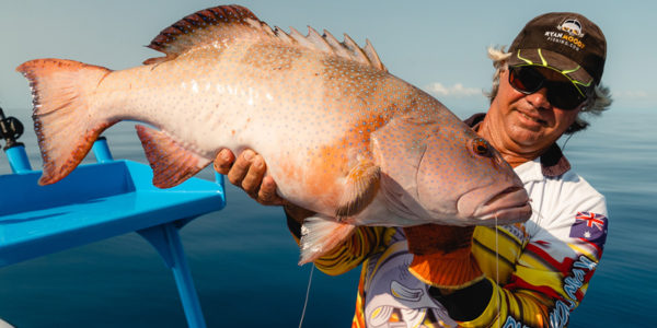 Fishing Ribbons Reefs for Coral trout